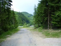 /album/fotogaleria-galeria/cesta-jpg/